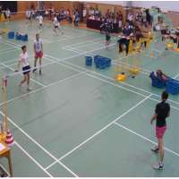 Pvc Vinyl Sports Flooring For Badminton Court Used