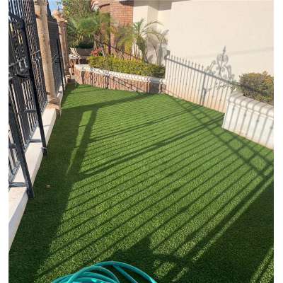 China factory well-recognized landscaping natural grass roll for soccer playground