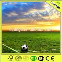 High Density 50mm PE Artificial Grass Soccer China